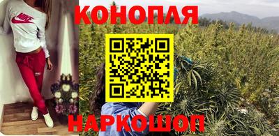 дурь Камышлов