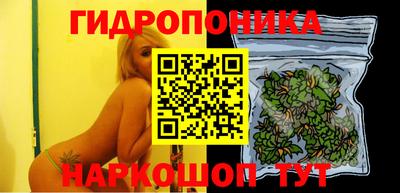 дурь Камышлов