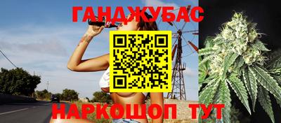 дурь Камышлов