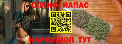 МДПВ Канаш