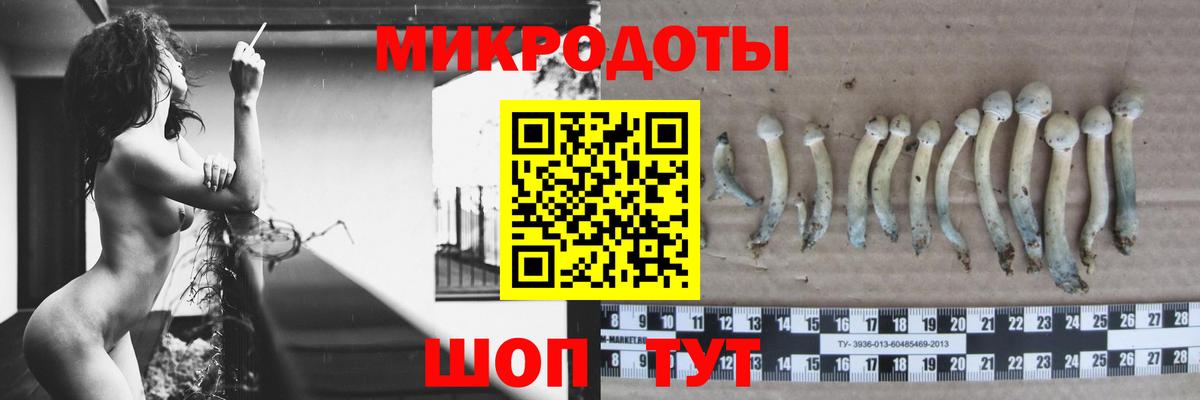 Биробиджан  Галлюциногенные грибы прущие грибы  Галлюциногенные грибы Psilocybe  Вход с VPN 