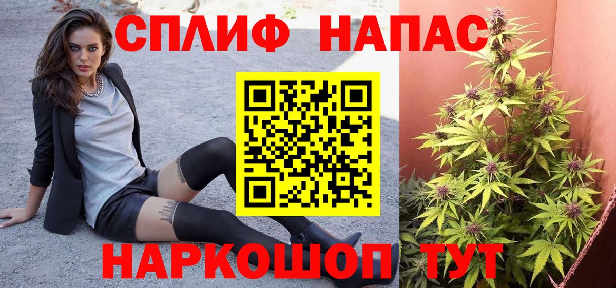 Биробиджан  Бошки марихуана White Widow  Конопля Bruce Banner  Вход с VPN  Конопля ГИДРОПОН  Марихуана планчик 